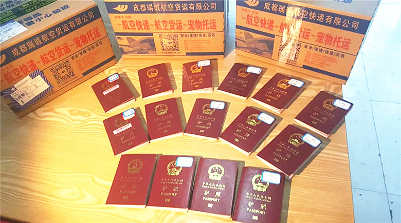 旅游签证,护照航空快递