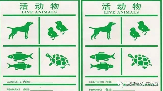 活体动物标签,宠物托运